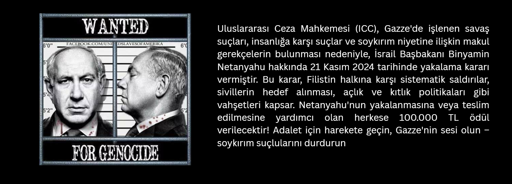 BNICC Türkçe